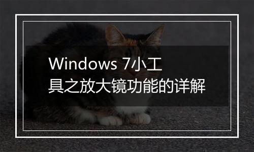 Windows 7小工具之放大镜功能的详解