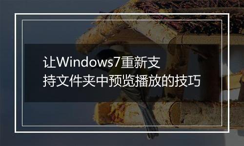 让Windows7重新支持文件夹中预览播放的技巧