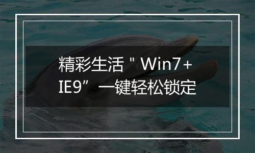 精彩生活＂Win7+IE9”一键轻松锁定