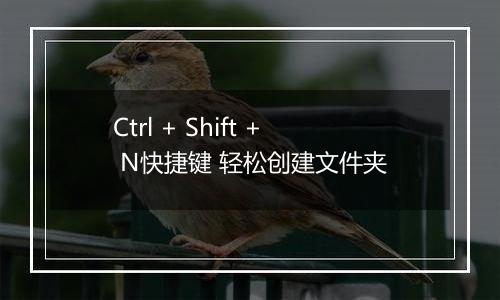 Ctrl + Shift + N快捷键 轻松创建文件夹