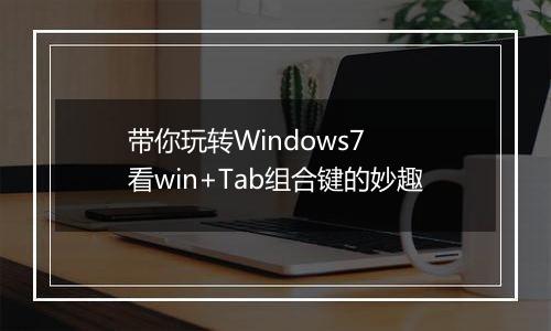 带你玩转Windows7  看win+Tab组合键的妙趣