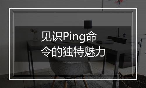 见识Ping命令的独特魅力