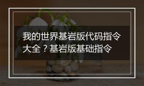 我的世界基岩版代码指令大全？基岩版基础指令