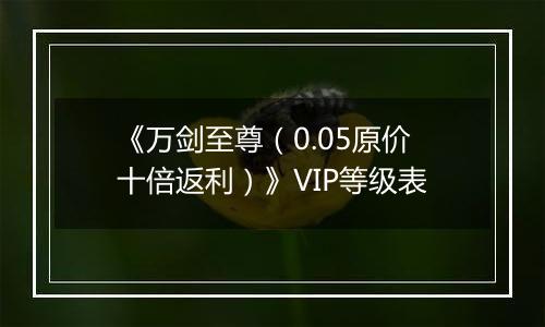 《万剑至尊（0.05原价十倍返利）》VIP等级表