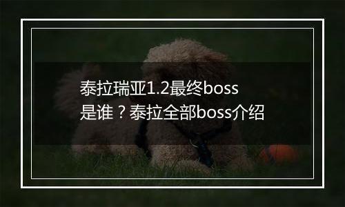 泰拉瑞亚1.2最终boss是谁？泰拉全部boss介绍