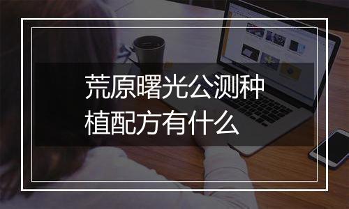荒原曙光公测种植配方有什么