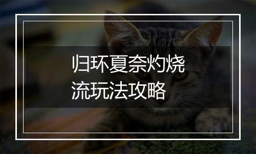 归环夏奈灼烧流玩法攻略