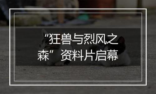 “狂兽与烈风之森”资料片启幕