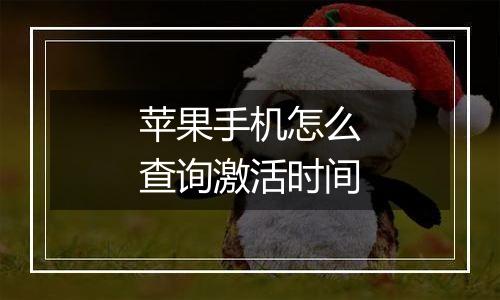 苹果手机怎么查询激活时间