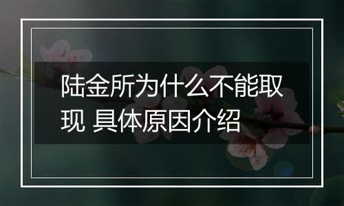 陆金所为什么不能取现 具体原因介绍