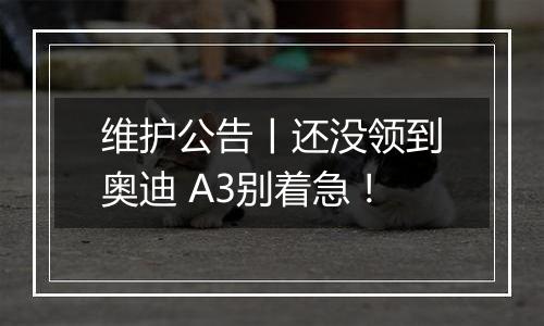 维护公告丨还没领到奥迪 A3别着急！