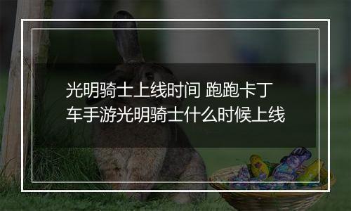 光明骑士上线时间 跑跑卡丁车手游光明骑士什么时候上线