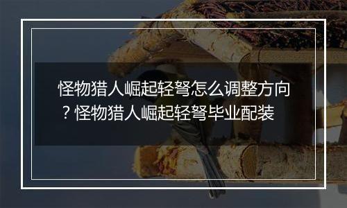 怪物猎人崛起轻弩怎么调整方向？怪物猎人崛起轻弩毕业配装