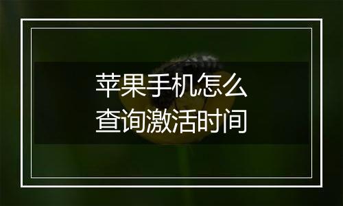 苹果手机怎么查询激活时间