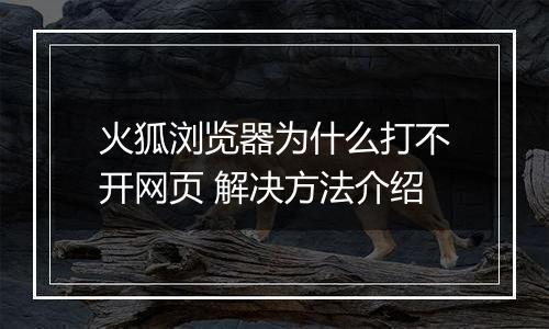 火狐浏览器为什么打不开网页 解决方法介绍
