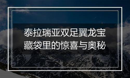 泰拉瑞亚双足翼龙宝藏袋里的惊喜与奥秘