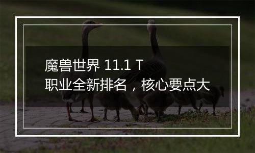 魔兽世界 11.1 T 职业全新排名，核心要点大