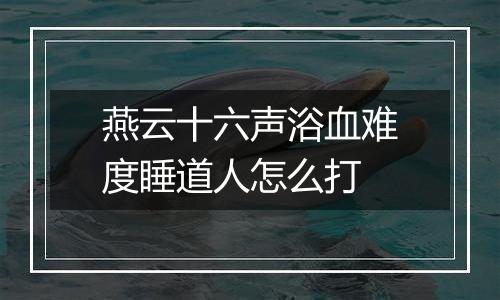 燕云十六声浴血难度睡道人怎么打