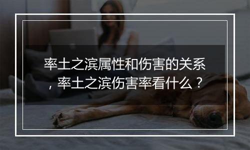 率土之滨属性和伤害的关系，率土之滨伤害率看什么？
