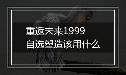 重返未来1999自选塑造该用什么
