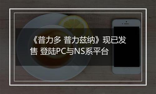 《普力多 普力兹纳》现已发售 登陆PC与NS系平台
