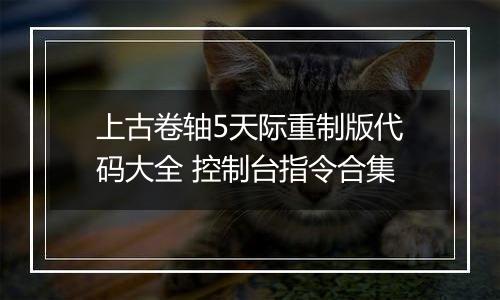 上古卷轴5天际重制版代码大全 控制台指令合集