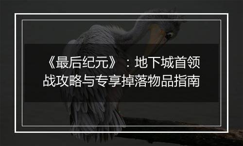 《最后纪元》：地下城首领战攻略与专享掉落物品指南