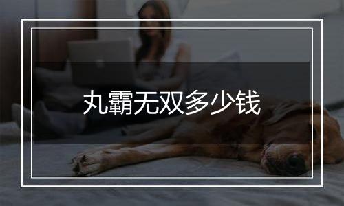 丸霸无双多少钱