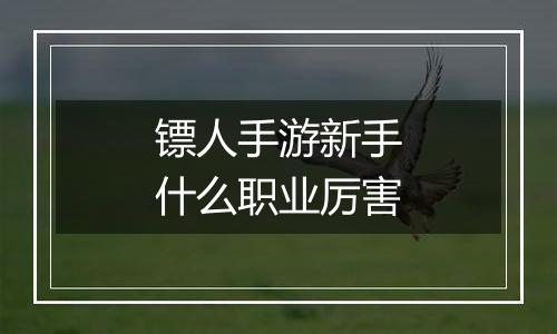 镖人手游新手什么职业厉害