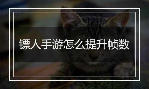 镖人手游怎么提升帧数