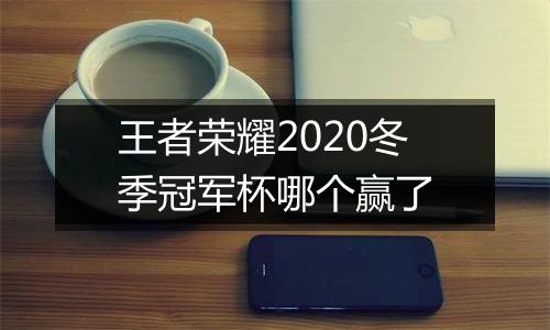 王者荣耀2020冬季冠军杯哪个赢了