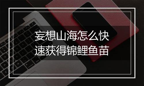 妄想山海怎么快速获得锦鲤鱼苗