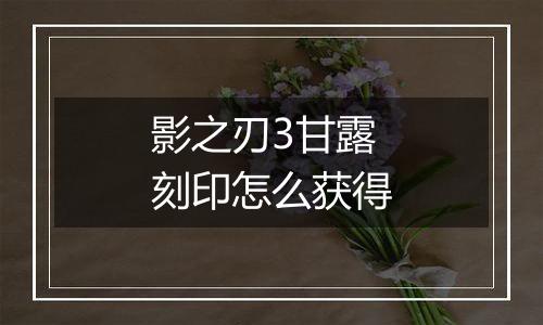 影之刃3甘露刻印怎么获得