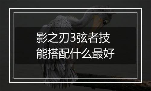 影之刃3弦者技能搭配什么最好