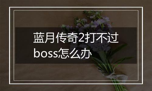 蓝月传奇2打不过boss怎么办