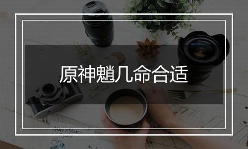 原神魈几命合适