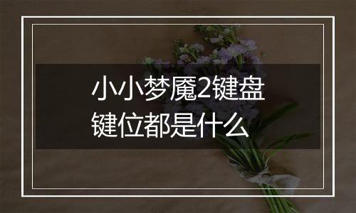 小小梦魇2键盘键位都是什么