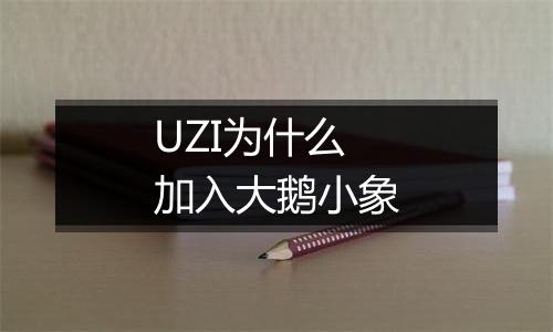 UZI为什么加入大鹅小象