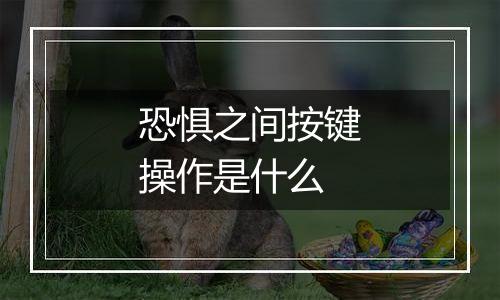 恐惧之间按键操作是什么