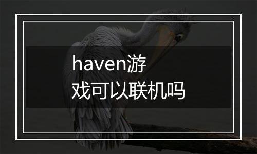 haven游戏可以联机吗