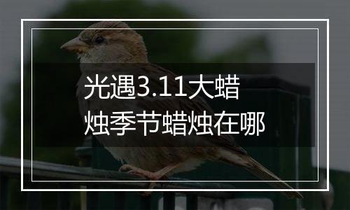 光遇3.11大蜡烛季节蜡烛在哪