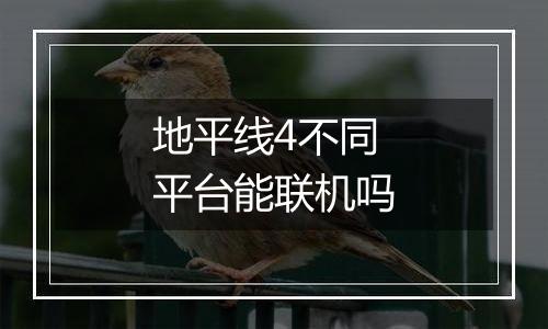 地平线4不同平台能联机吗