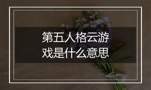 第五人格云游戏是什么意思