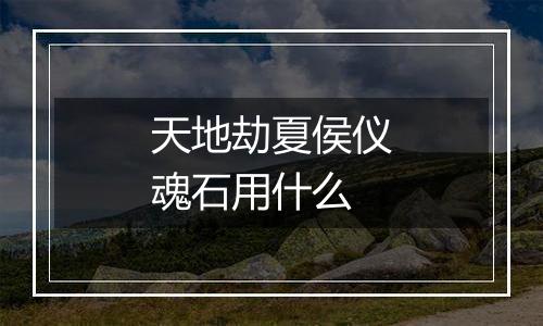 天地劫夏侯仪魂石用什么
