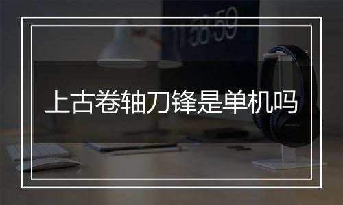 上古卷轴刀锋是单机吗