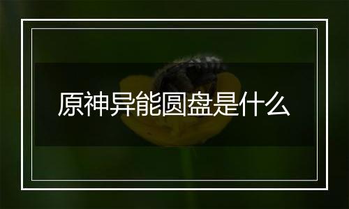 原神异能圆盘是什么