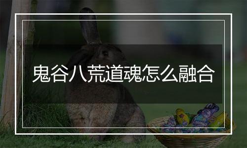 鬼谷八荒道魂怎么融合