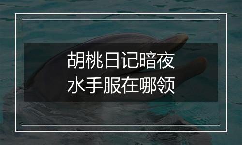 胡桃日记暗夜水手服在哪领