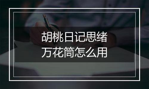 胡桃日记思绪万花筒怎么用