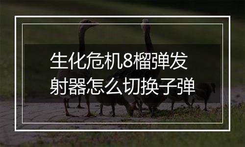 生化危机8榴弹发射器怎么切换子弹